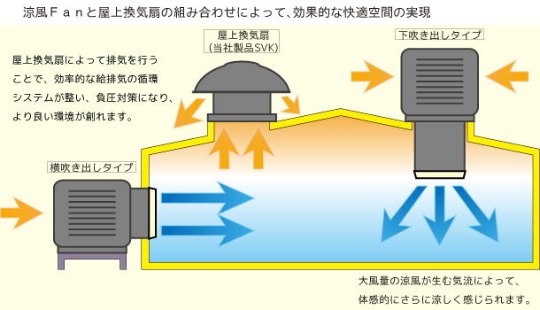 涼風ファン